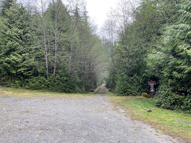 Carmanah upper campground and parking area 2023.jpg
