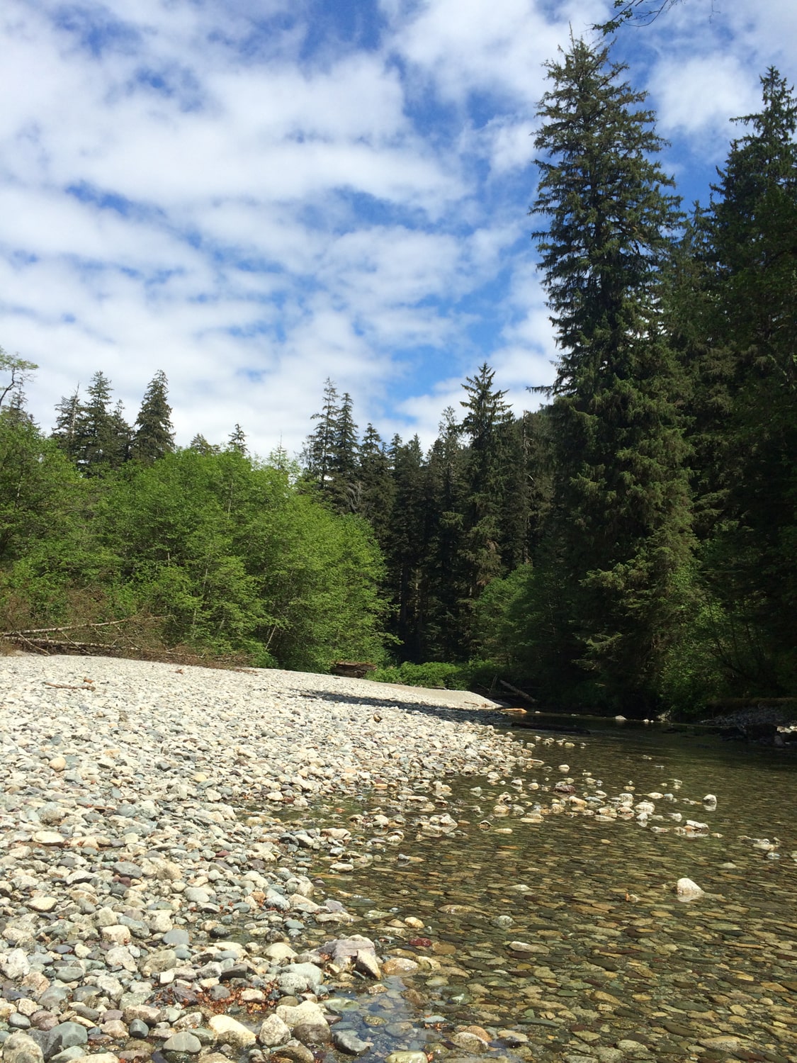 Gravel Bar