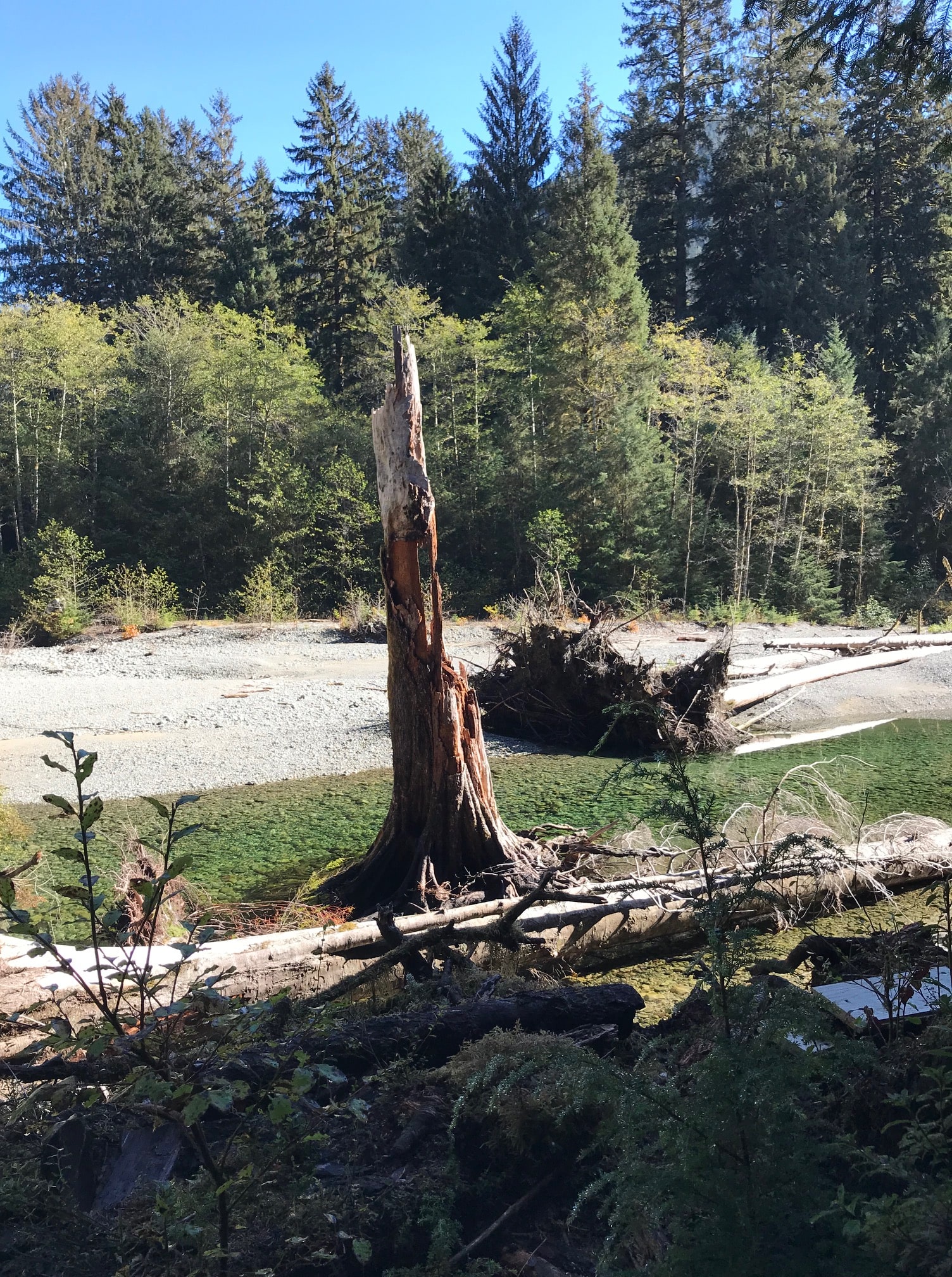 River Bed