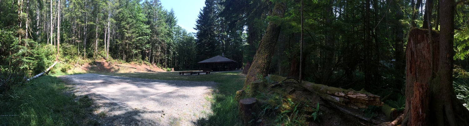 Swordfern group site photos