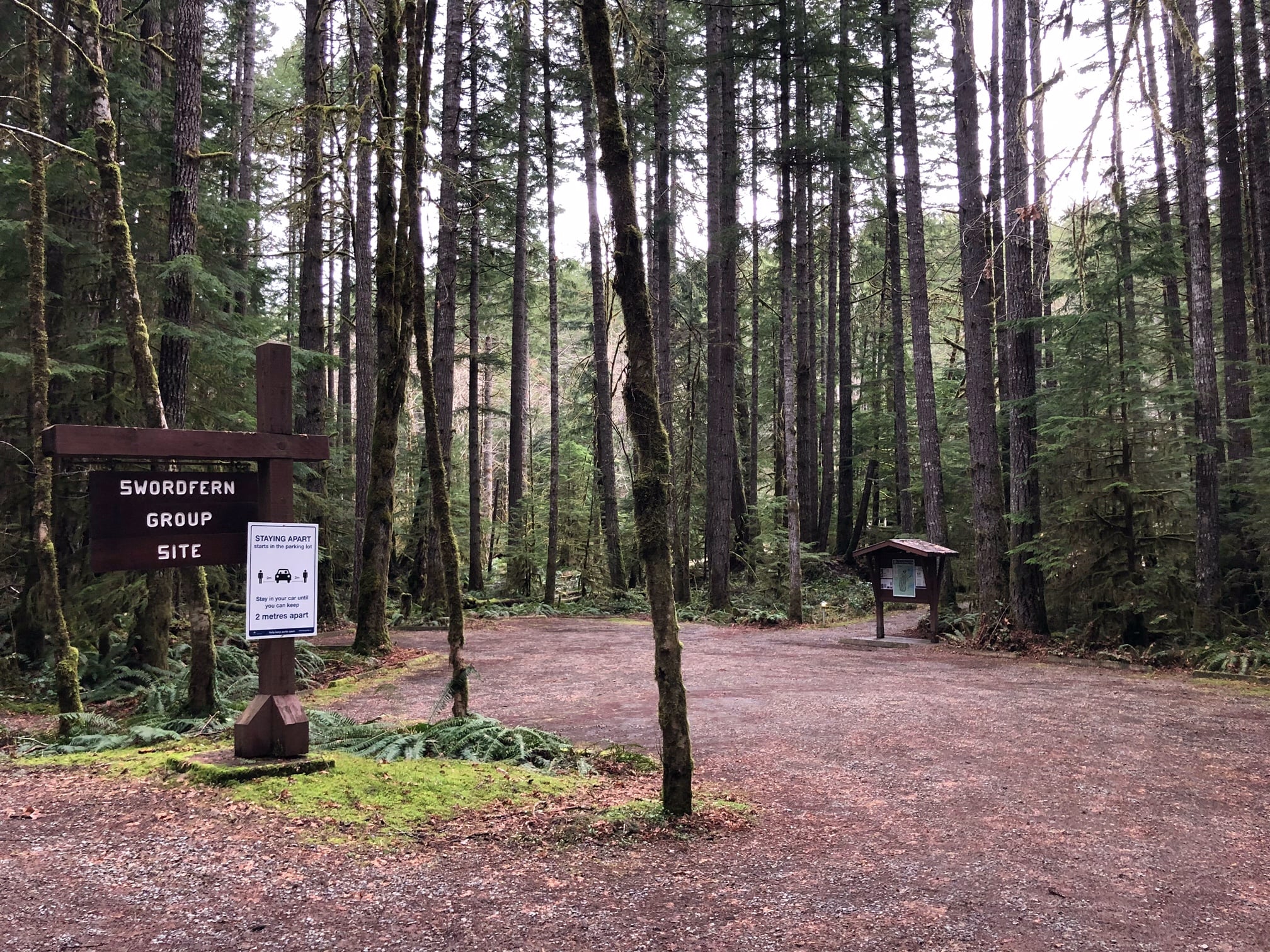 Swordfern group site photos