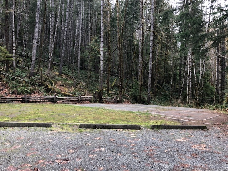 Swordfern group site photos