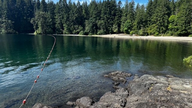 Swim Area